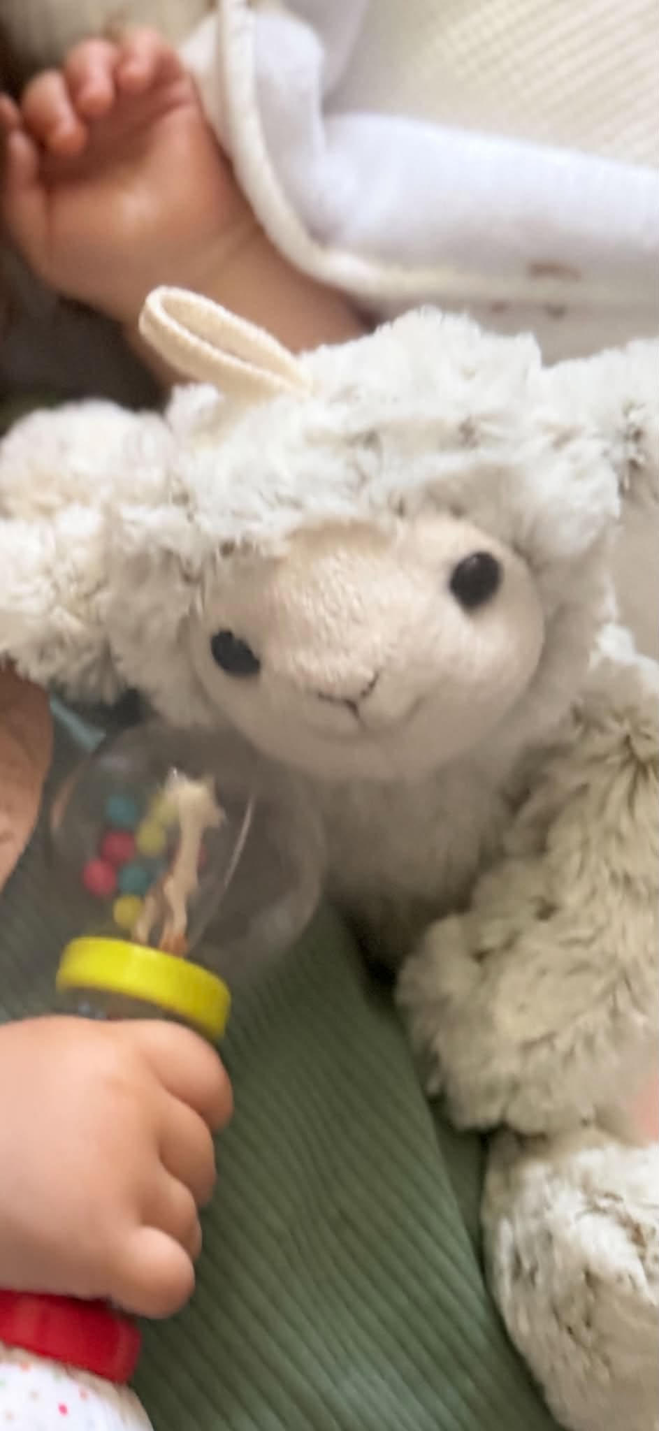 ⚠️ Aidez-nous à retrouver le doudou de notre fils ⚠️